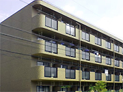 不動産見学